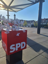 Herzlich willkommen zur Weißen Nacht 2026