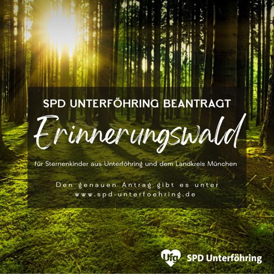 Visual Erinnerungswald